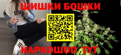 сатива Малгобек