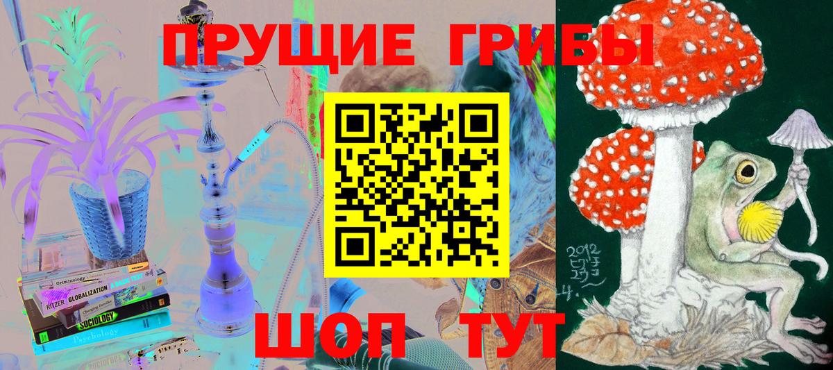 Галлюциногенные грибы Cubensis Изобильный
